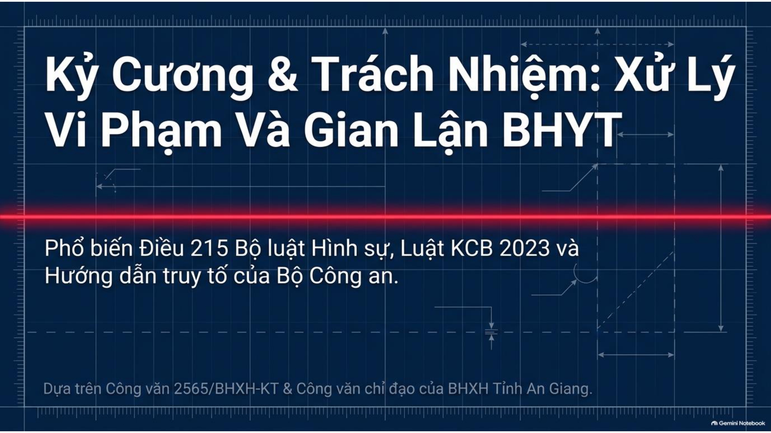 BHYT Integrity and Accountability